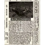 死神紫郎(死神) / 死神公葬映像録（DVDR）