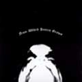 DRAUGAR / FROM WHICH HATRED GROWS