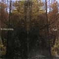 MERRELL BAKER AND JORDAN / NAGUAL
