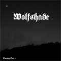 WOLFSHADE / EVENING STAR