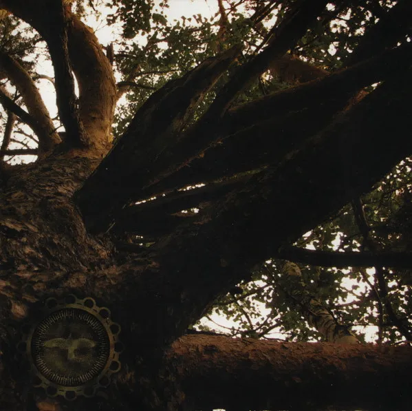 KOB / ANCIENT SHROUD OF PRIMEVAL URAL WOODS