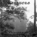 STRIBORG / IN THE HEART OF THE RAINFOREST
