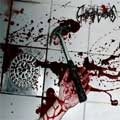 SPLATTERED MERMAIDS / STENCH OF FLESH