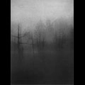 DARK FOUNT / SAPLESS LEAVE WITHERING IN THE NIGHT FOG