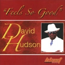 DAVID HUDSON / デイヴィッド・ハドソン / FEEL SO GOOD