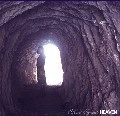 SILENT SPROUT / サイレントスプラウト / ＨＥＡＶＥＮ（ＣＤＲ）