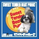 LAUGH BELLY DITTIES / SWEET TENDER BEAT PUNK！