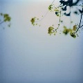 RECO. / レコ / 青いブルー