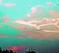 マサイマラ / 夢の、はなし（ＣＤＲ）