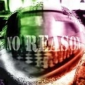 THE FEEDBACKS / ザ・フィードバックス / ＮＯ　ＲＥＡＳＯＮ