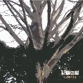リゴライフス / 記憶の樹