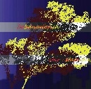 BANANAFISH / ｓｔａｒ　ｃｈａｓｅ（ＣＤＲ）