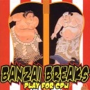DJ SHIN (DJ $HIN) / DJシン / ＢＡＮＺＡＩ　ＢＲＥＡＫＳPLAY FOR CDJ
