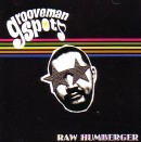 grooveman Spot a.k.a DJ KOU-G / ＲＡＷ　ＨＵＭＢＥＲＧＥＲ