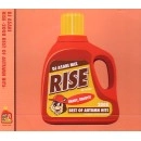 DJ ASARI / ＲＩＳＥ-2008 BEST OF AUTUMN HITS-
