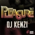 DJ KENZI / ＰＬＥＡＳＵＲＥ　ＶＯＬ．１