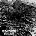 MERZBOW / メルツバウ / PROTEAN WORLD
