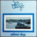 CARDBOARD VILLAGE / SEA CHANGE