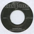 WAILERS (REGGAE) / ウェイラーズ (REGGAE) / DIAMOND BABY