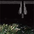 ENVY:JESU / ENVY:JESU(LTD SILVER VINYL)