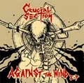 CRUCIAL SECTION / ＡＧＡＩＮＳＴ　ＴＨＥ　ＷＩＮＤ　ＥＰ
