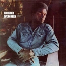 BOOKER T. (JONES) / ブッカー・T. / EVERGREEN(180GRAM)