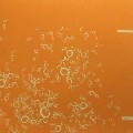 RALPH SLIWINSKI / POX BOX