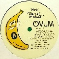 WINK (JOSH WINK) / STAY OUT ALL NIGHT