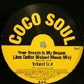 TORTURED SOUL / トーチャード・ソウル / YOUR DREAM IS MY DREAM (JON CUTLER REMIX)
