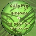 DJ PLEASURE / THE KILLING CURSE/NEW YORK CITY