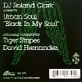 DJ ROLAND CLARK PRESENTS URBAN SOUL / BLACK IN MY SOUL