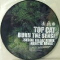 HERETIC  & TOPCAT / BUNN THE SENSI(SERIAL KILLAZ REMIX)