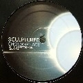 CHOOK & PHACE / SCULPTURED/FROZEN