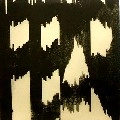 J.D.TWICH / 60 MINUTES OF FEAT MIX CD & 10 INCHES OF F