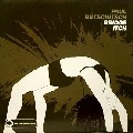 PAUL BRTSCHITSCH / BRIDGE ITCH