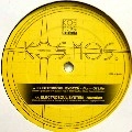 ELECTROSOUL SYSTEM / FORM OF LIFE