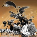 TSUNENORI / ツネノリ / ＦＯＲＥＳＴ　ＢＡＴＨＩＮＧ