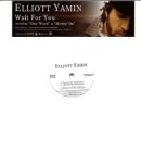 ELLIOTT YAMIN / エリオット・ヤミン / ＷＡＩＴ　ＦＯＲ　ＹＯＵ