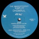 V.A. (MAGNIFICENT SAMPLER EP) / MAGNIFICENT SAMPLER EP