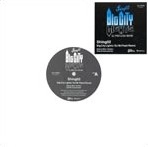 SHING02 / ＢＩＧ　CITY LIGHTS (DJ MR.FLESH REMIX)