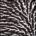 GROUPER / COVER THE WINDOWS AND THE WALLS