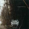 WOODS OF DESOLATION / TOWARD THE DEPTHS