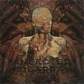 INFECTED DISARRAY / DISSEMINATING OBSCENITY