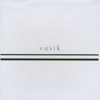 SHINGO SEKIGUCHI / 関口慎悟 / ｖｕｓｉｋ