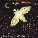AFTER THE GREENROOM / ２ｎｄ　ｄｅｍｏ（ＣＤＲ）