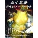 五十嵐馨 / 秒速１５メートルの女（ＣＤＲ）