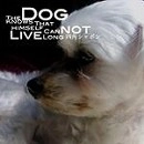 四角シャボン / THE DOG KNOWS THAT HIMSELF CANNOT LIV(CDR)