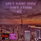 V.A. (WBLS RADIO SHOW QUIET STORM) / WBLS RADIO SHOW QUIET STORM VOL.1
