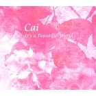 CAI / 界 / IT'S A BEAUTIFUL WORLD