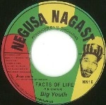 BIG YOUTH / ビッグ・ユース / FACTS OF LIFE